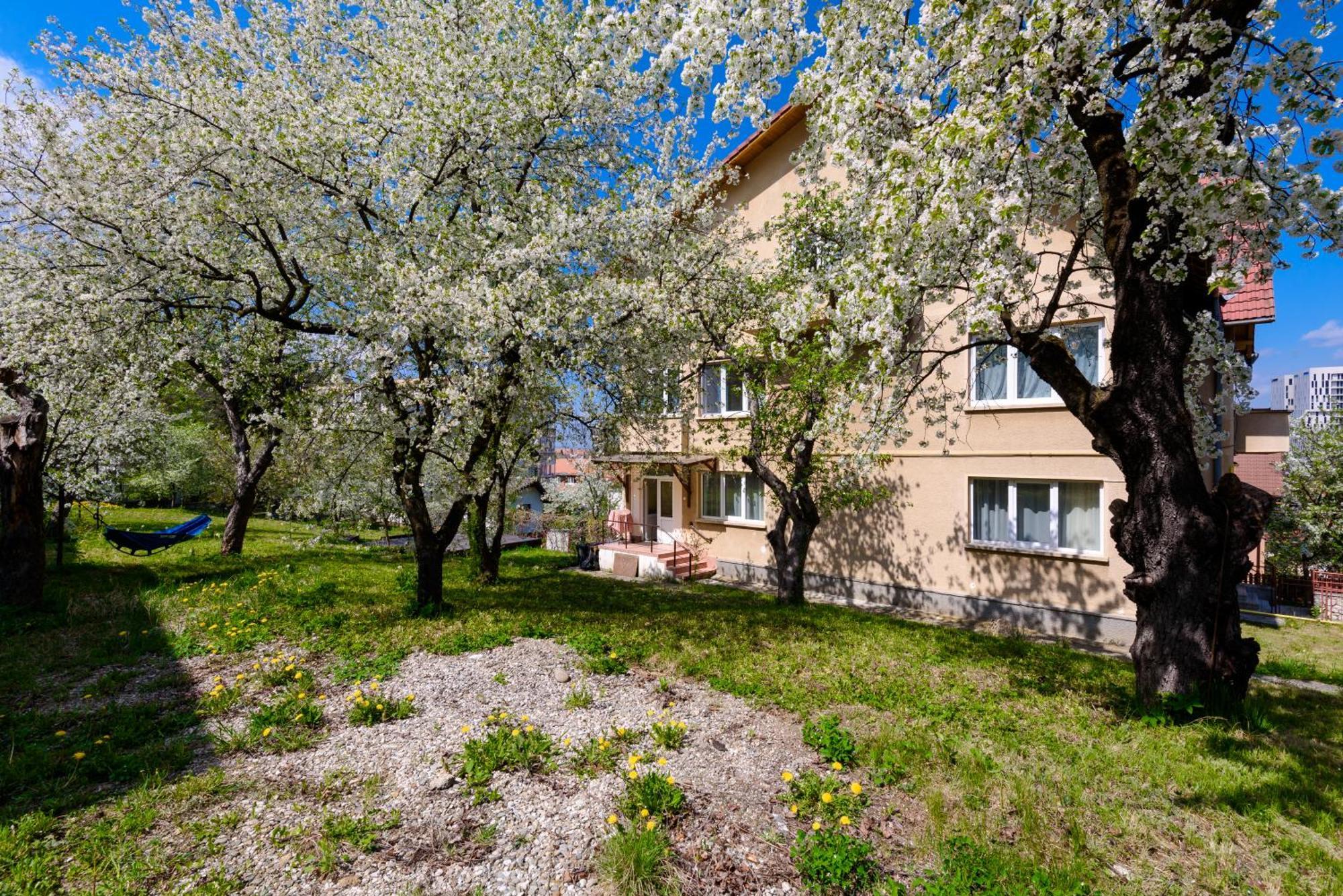 Casa Cu Cires Brasov Apartment Exterior photo