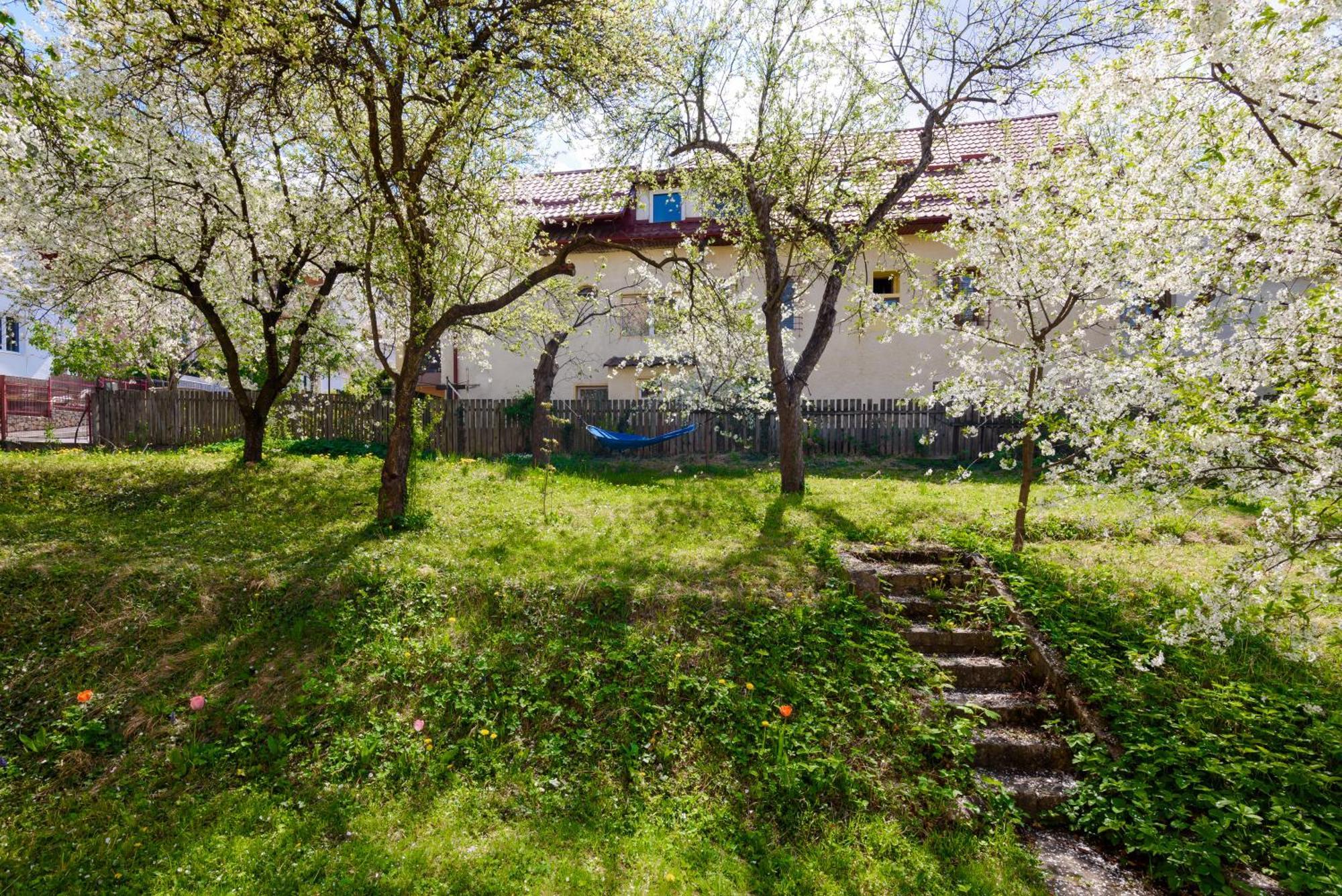 Casa Cu Cires Brasov Apartment Exterior photo